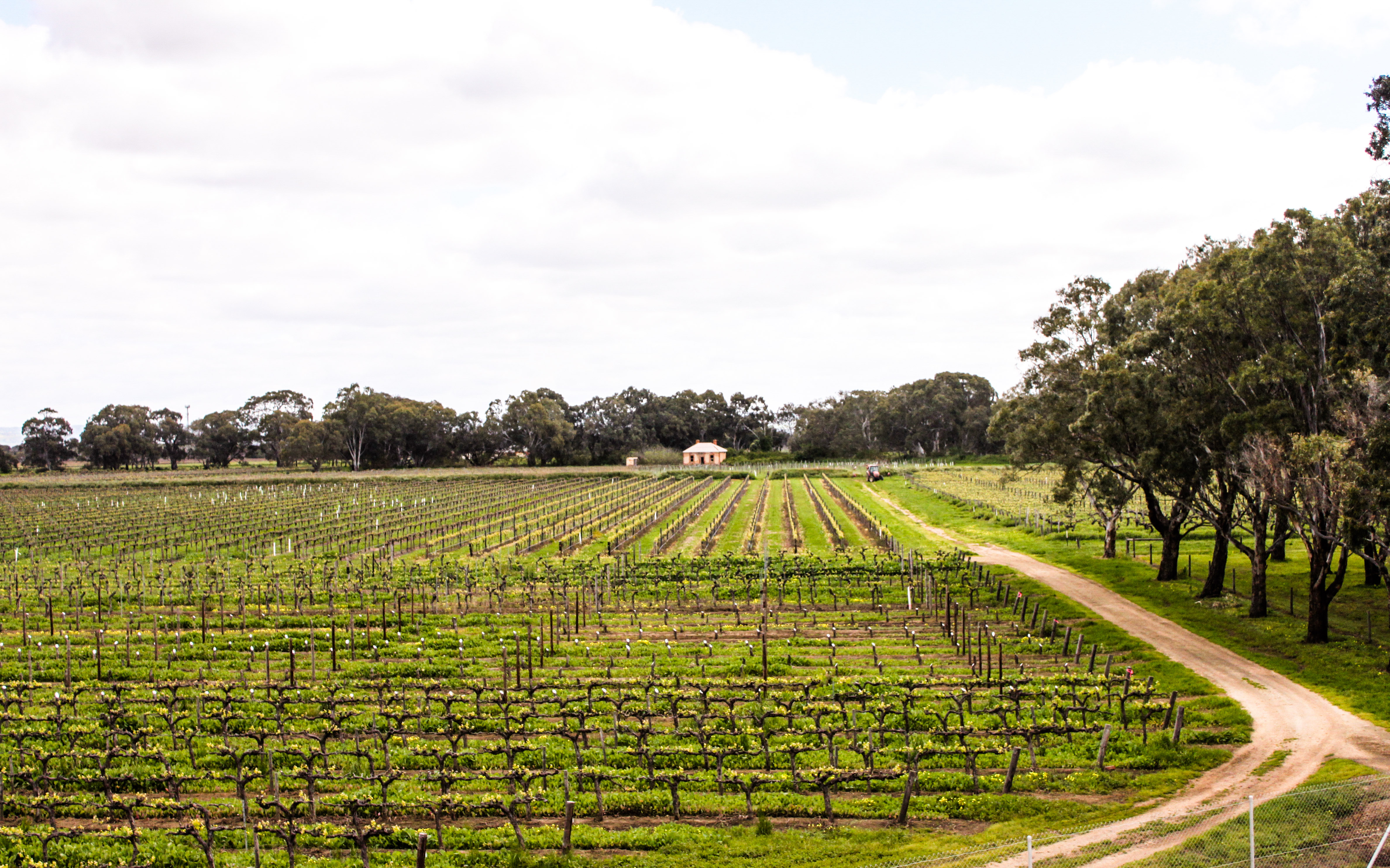 Bleasdale Vineyards